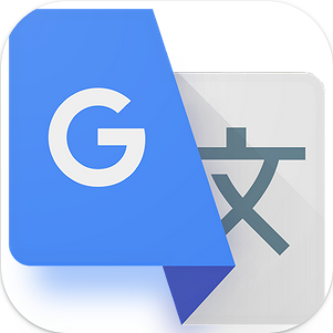 Google Translate image