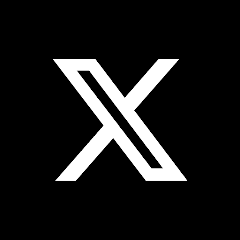 x image